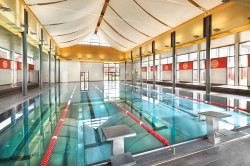 Sportbecken im Asia Spa Leoben