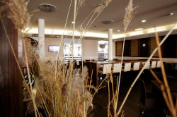 Marktrestaurant